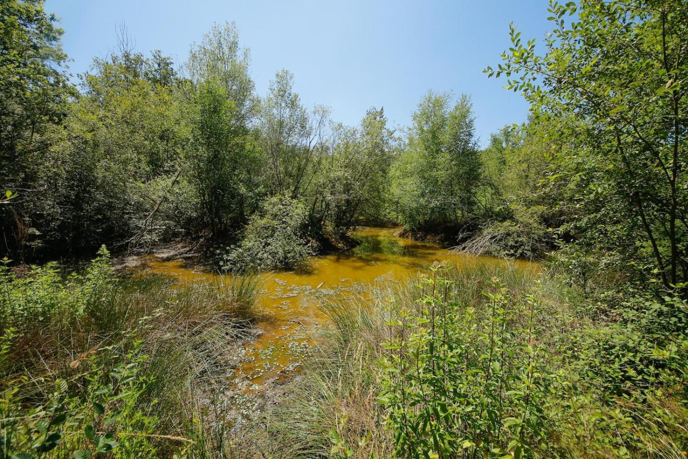 Domaine La Faix, Gite La Chouette Saint-Plaisir ภายนอก รูปภาพ