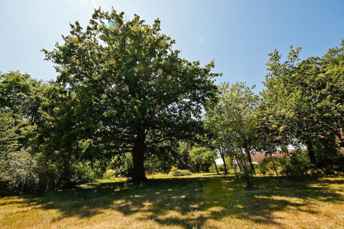 Domaine La Faix, Gite La Chouette Saint-Plaisir ภายนอก รูปภาพ