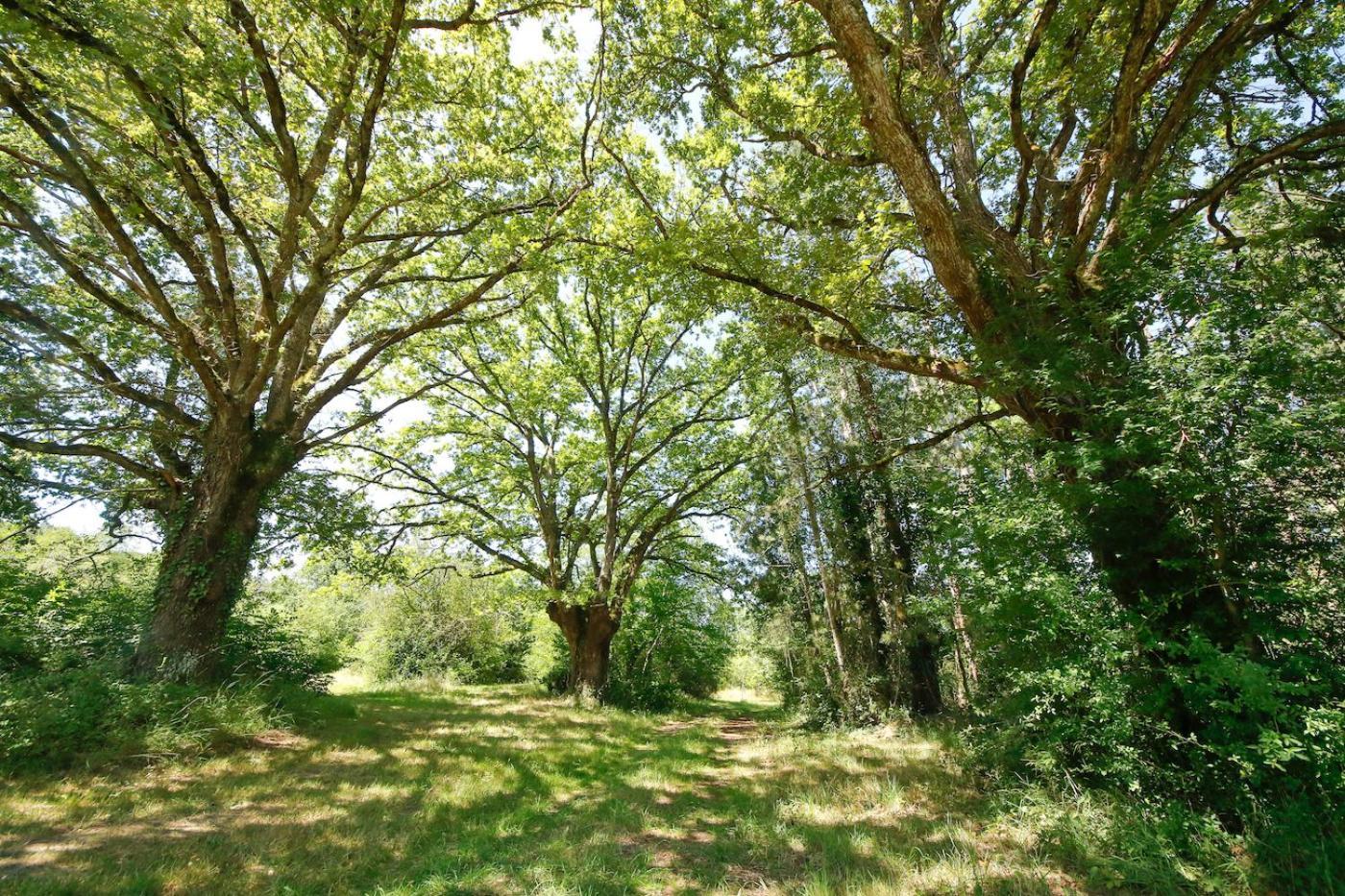 Domaine La Faix, Gite La Chouette Saint-Plaisir ภายนอก รูปภาพ