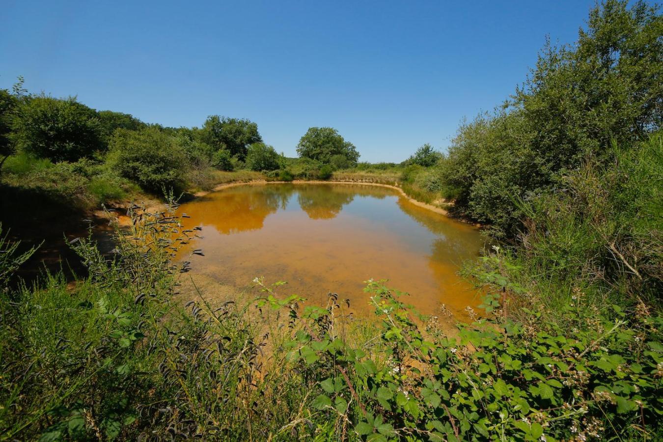 Domaine La Faix, Gite La Chouette Saint-Plaisir ภายนอก รูปภาพ